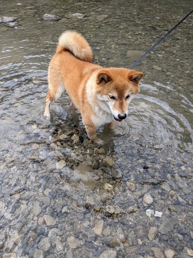 カイチャン