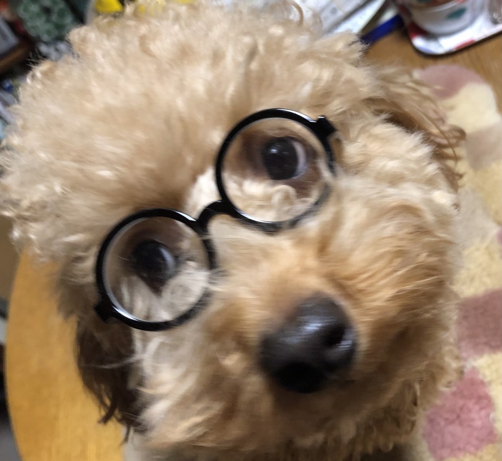 ミカン