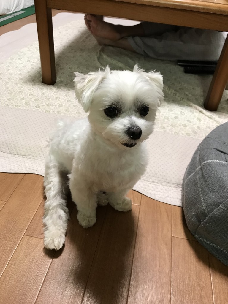 まる
