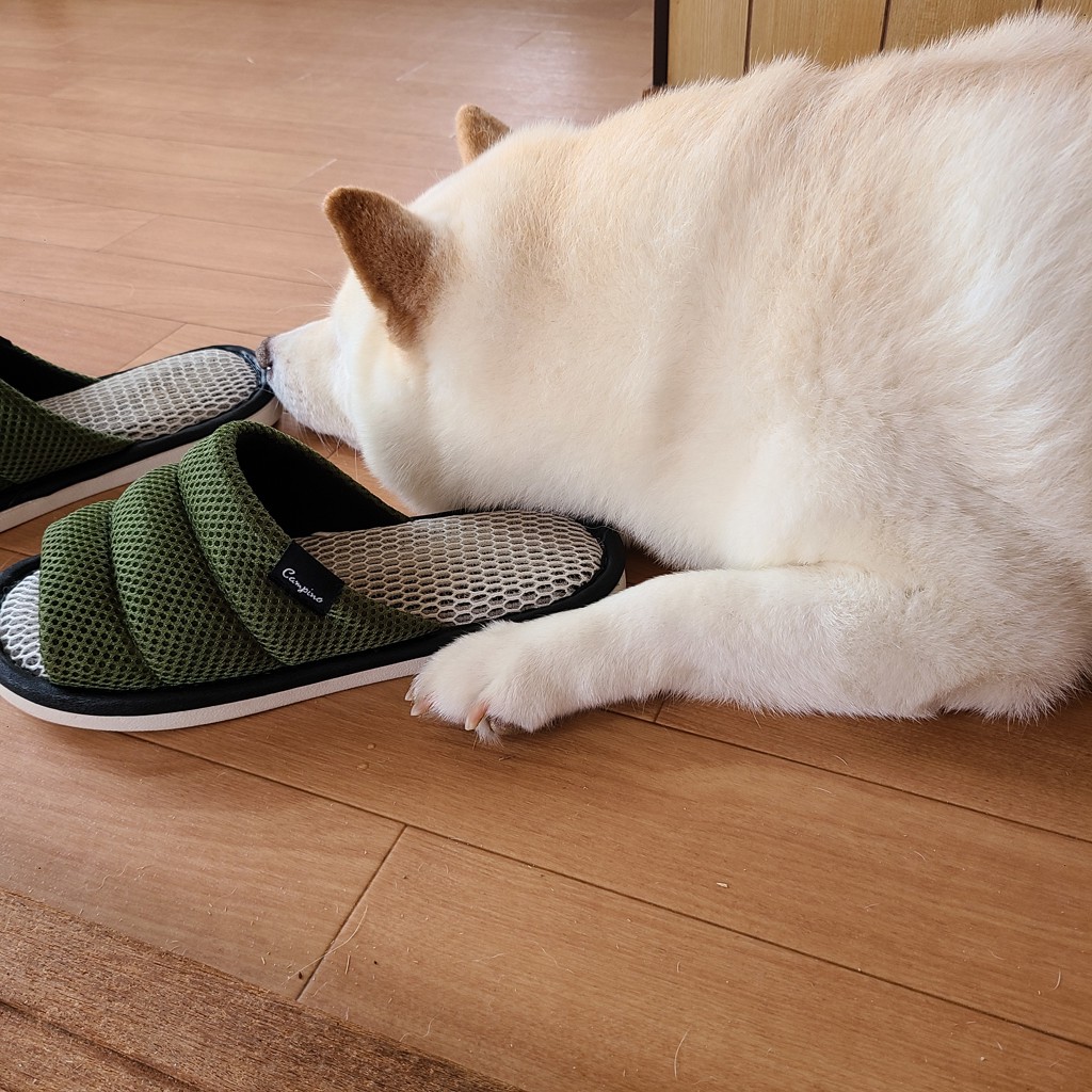 ふみゆら