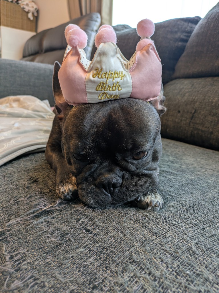 アールグレイ&ジューシーオレンジ 8枚入 – tokyorusk