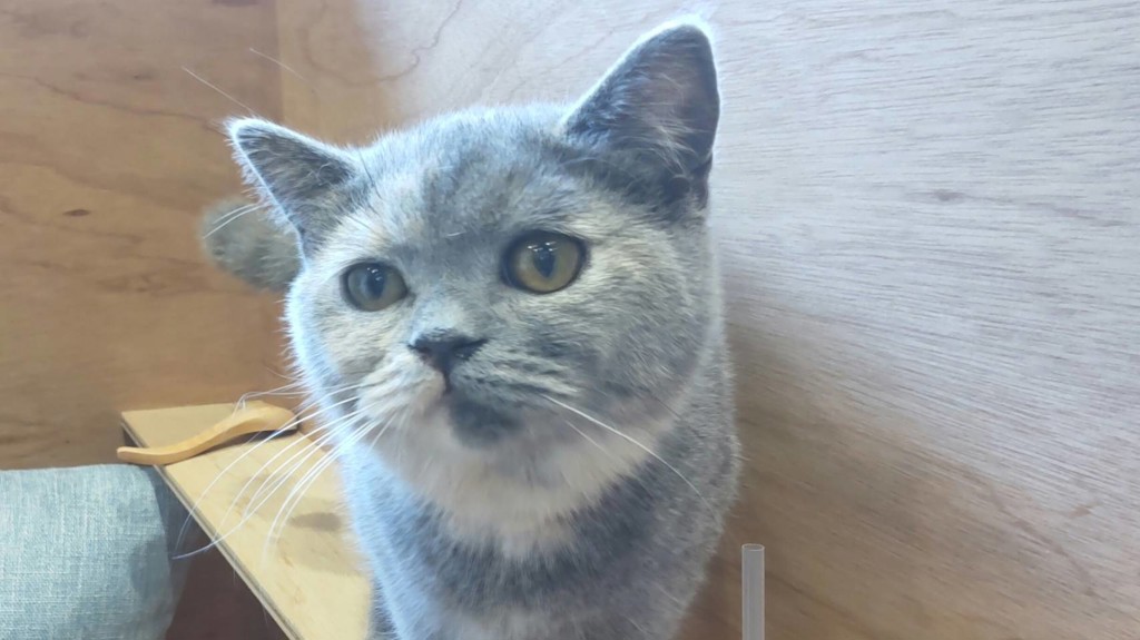 ラブバナナ
