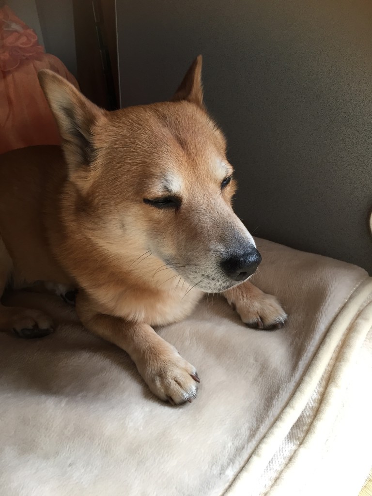 なおっきー