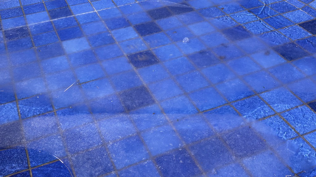 ま