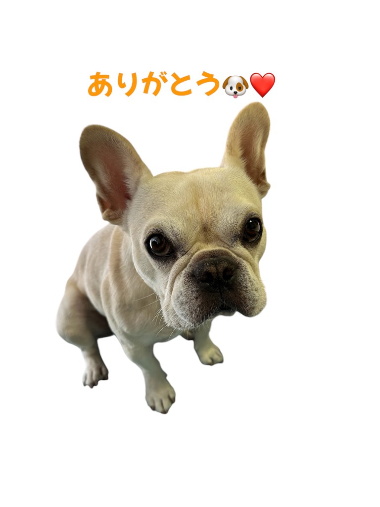 ゆず