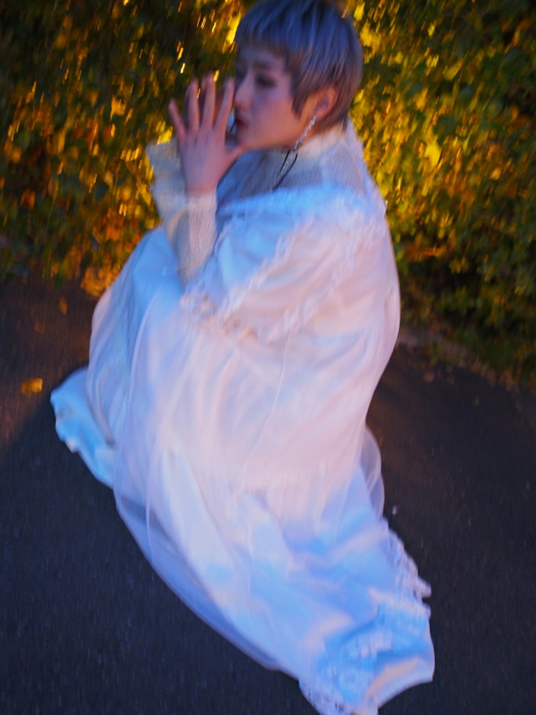 THE VIRGIN SUICIDES by Sofia Coppola（ソフィア・コッポラ