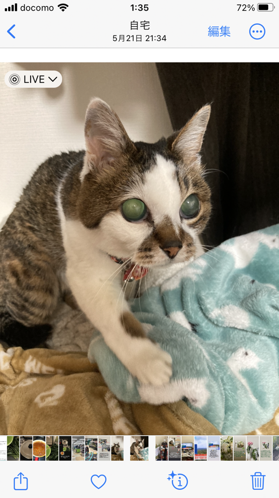 ユーザーアイコン