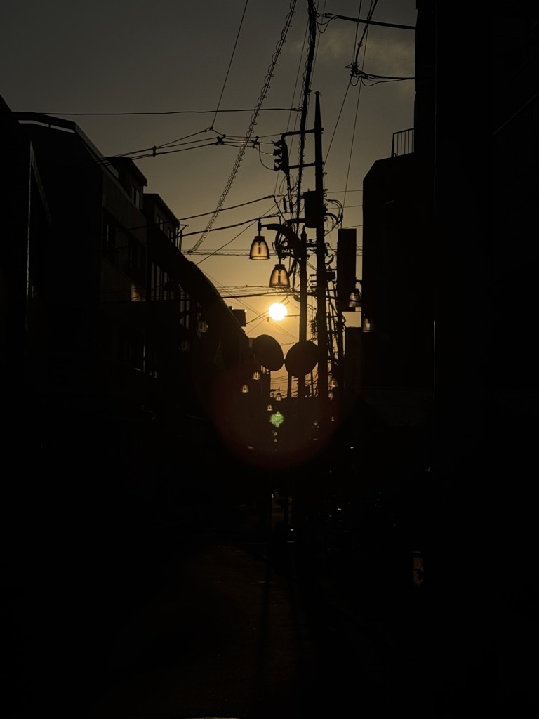 つくよみ