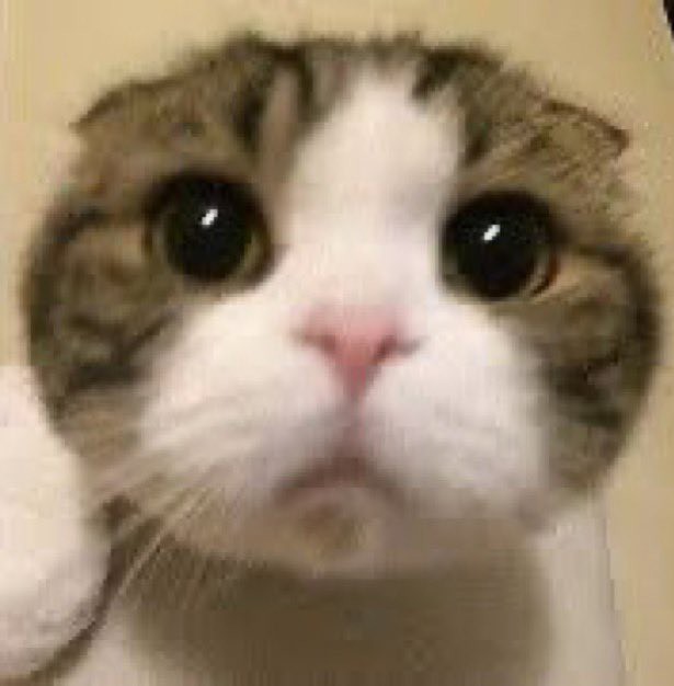 ぽ