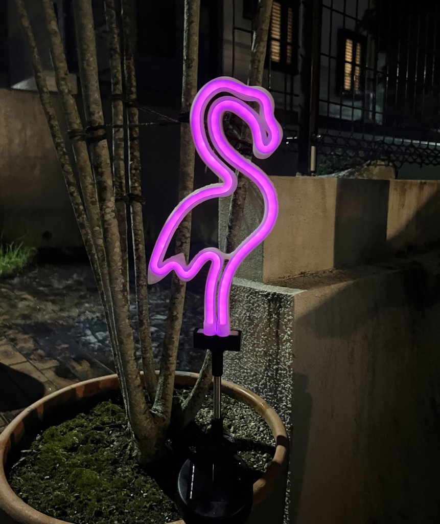 タカ