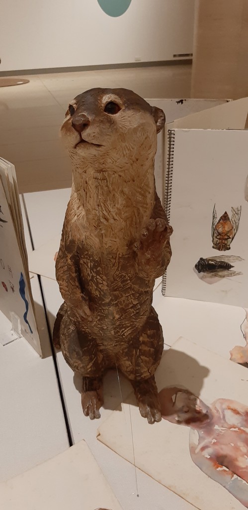 けこぴょん