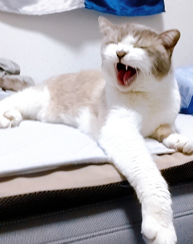 ナポリ