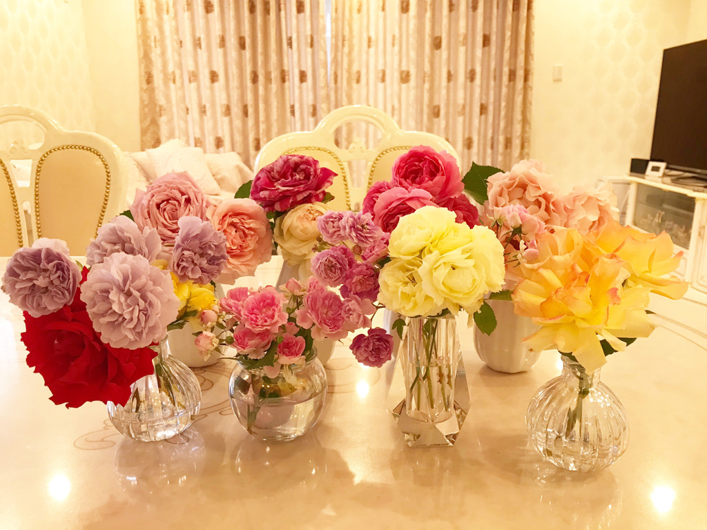 SUKALA】ローズプリントグレースショートトップス(S・M・Lサイズ