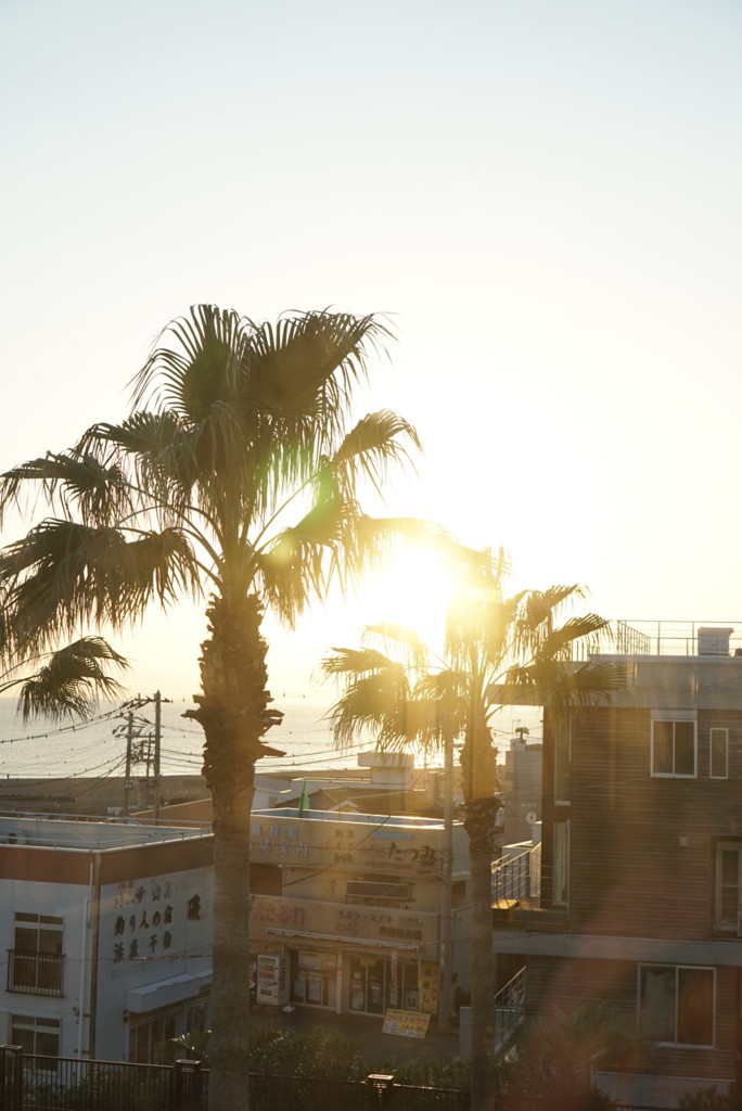 ユーザーアイコン