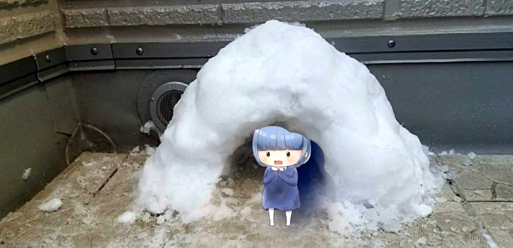 リリーさん