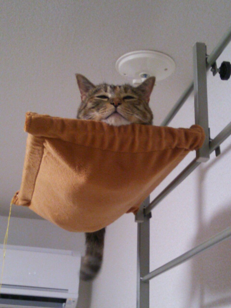 くぴ