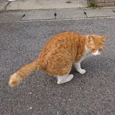 ユーザーアイコン