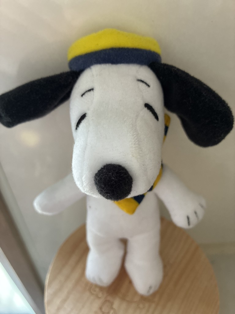まりり