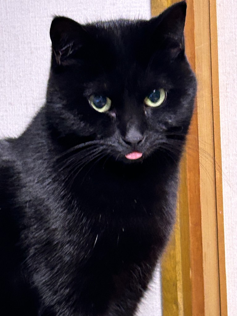 小麦