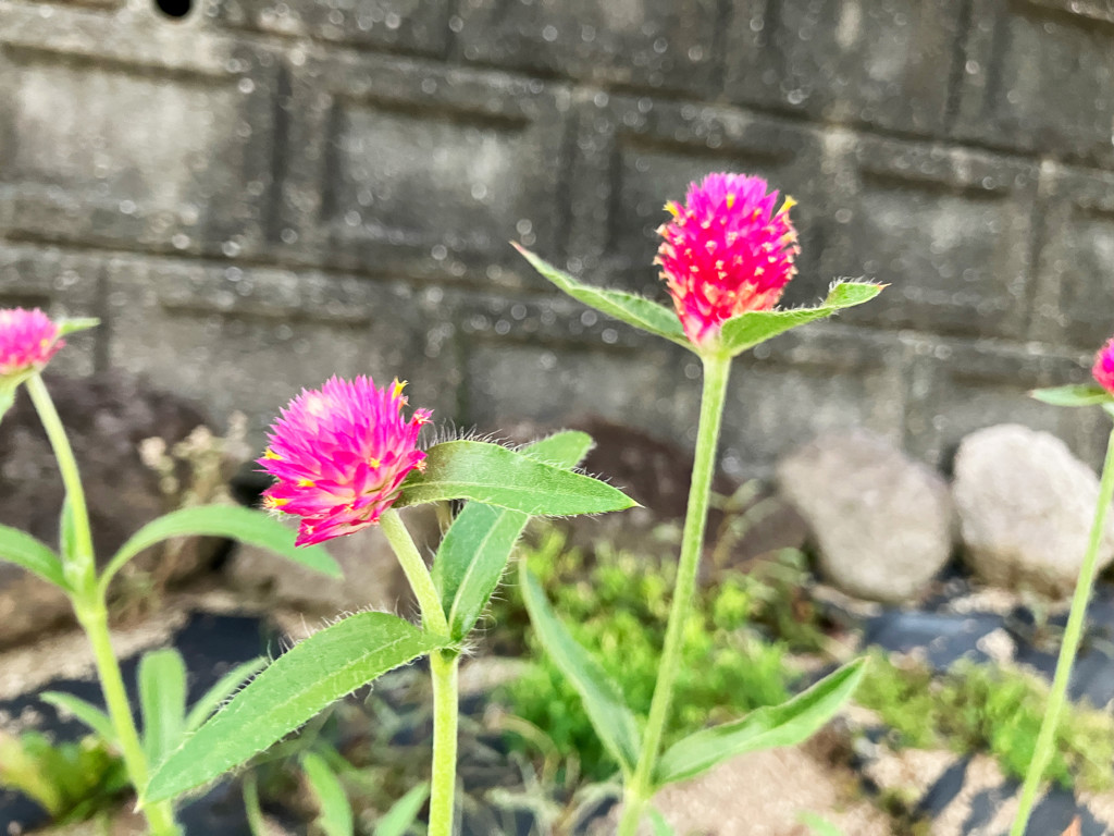 ユーザーアイコン