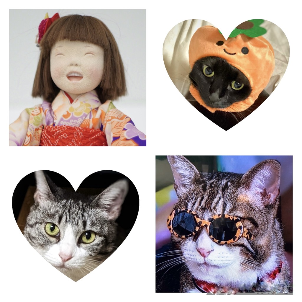 スギマリ