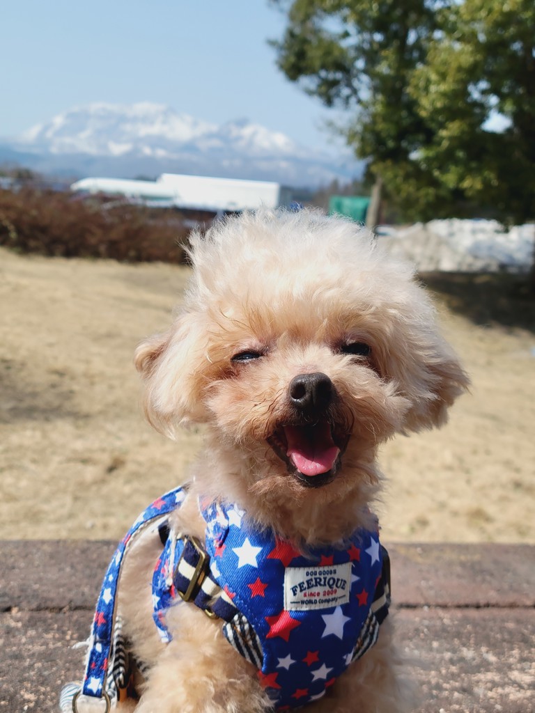 ココエル
