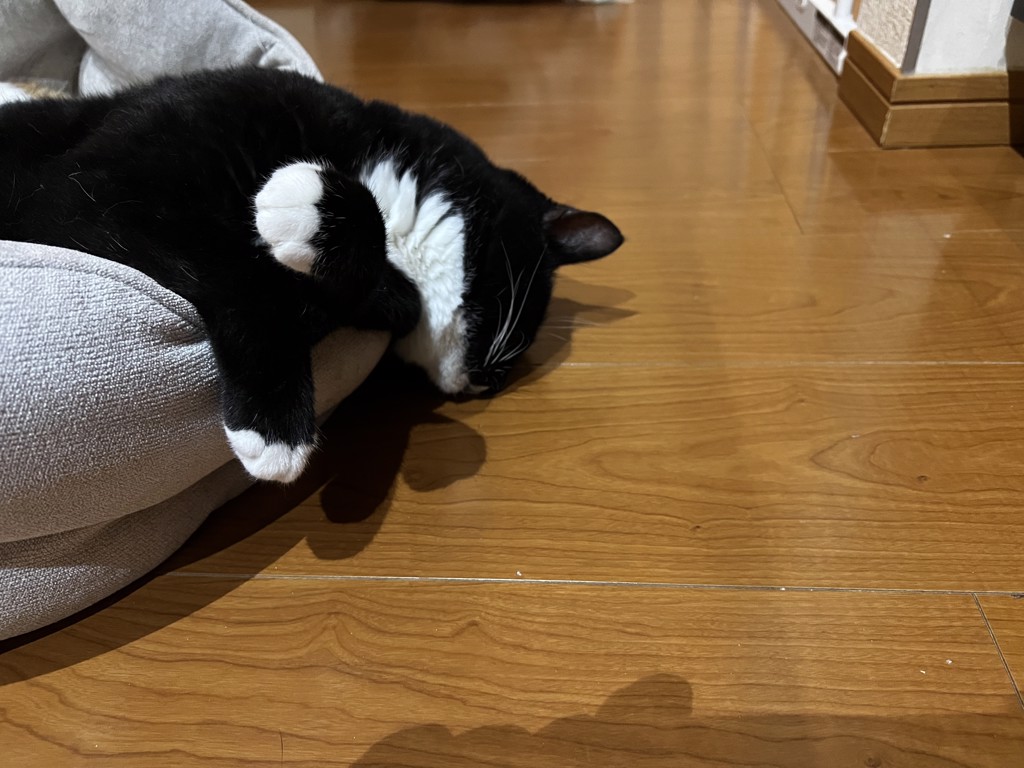 のんちゅう