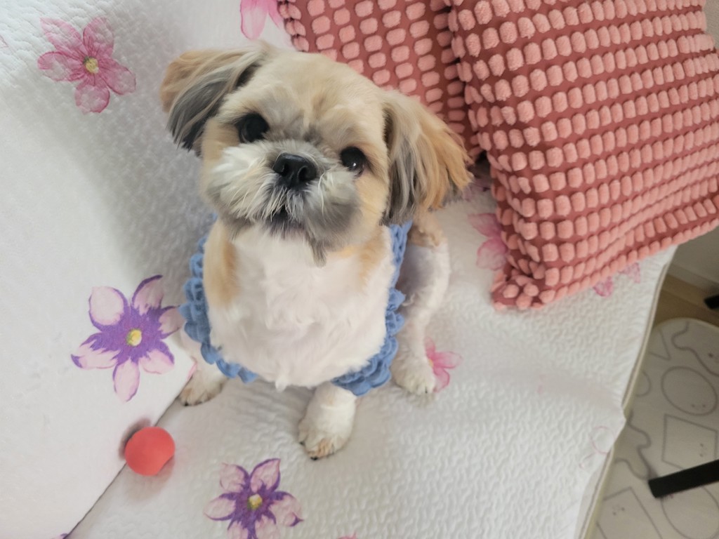 こうちゃんママ