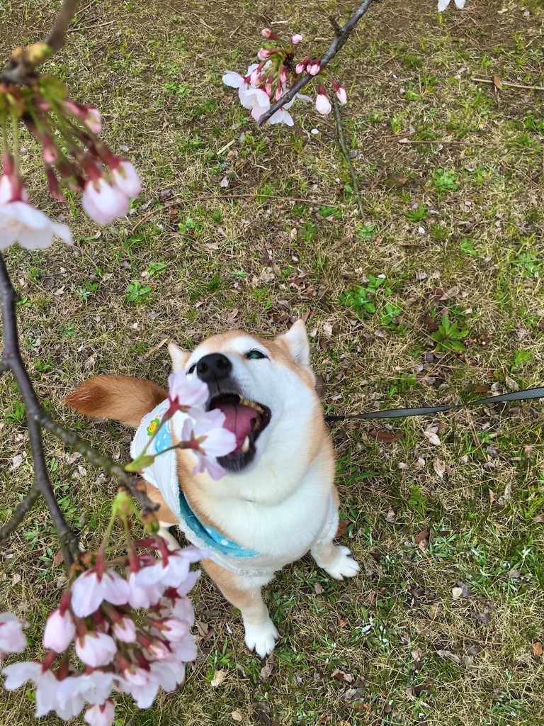 そらママ