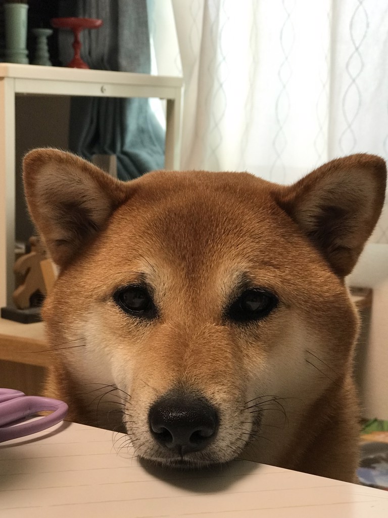 ハイネ