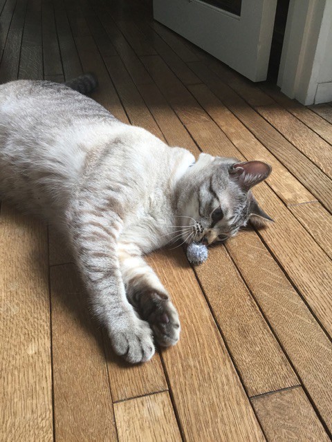 月の雫