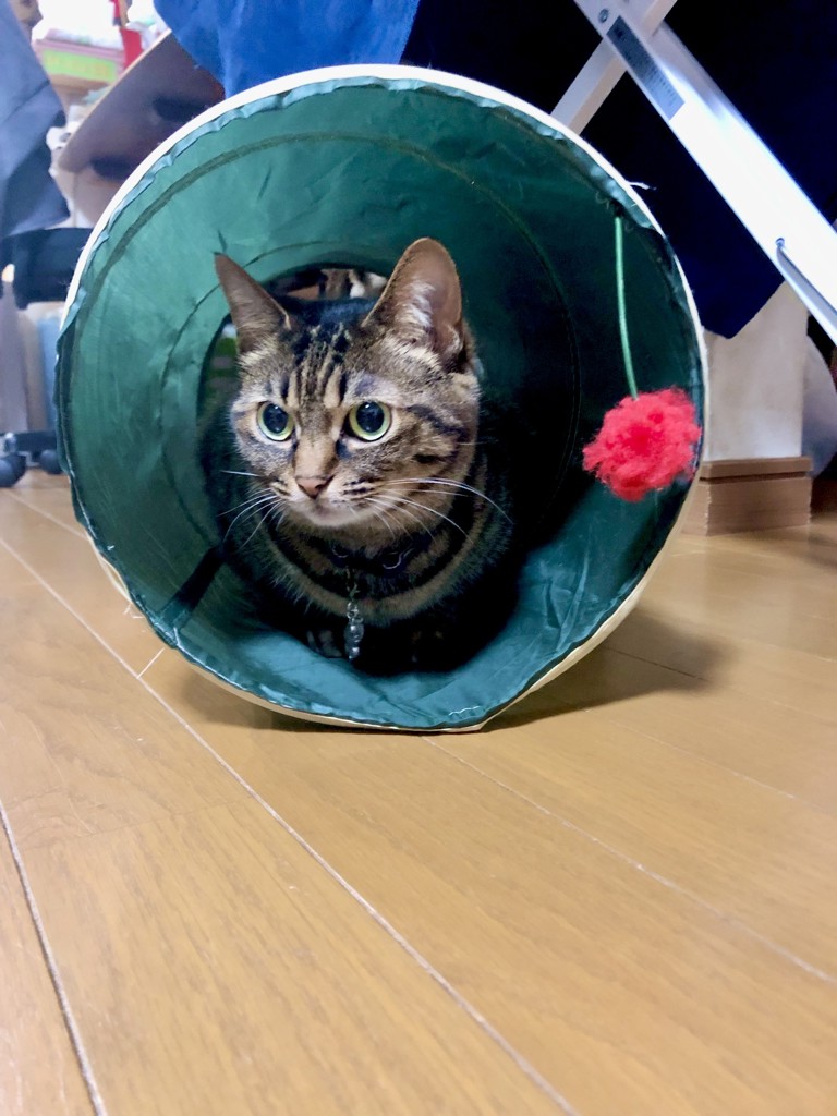 no name