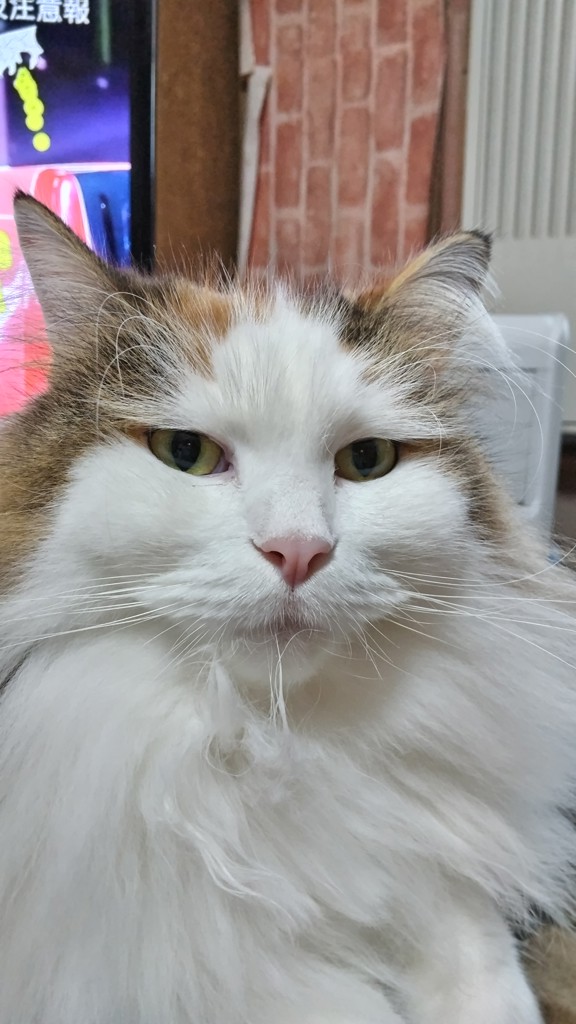 no name