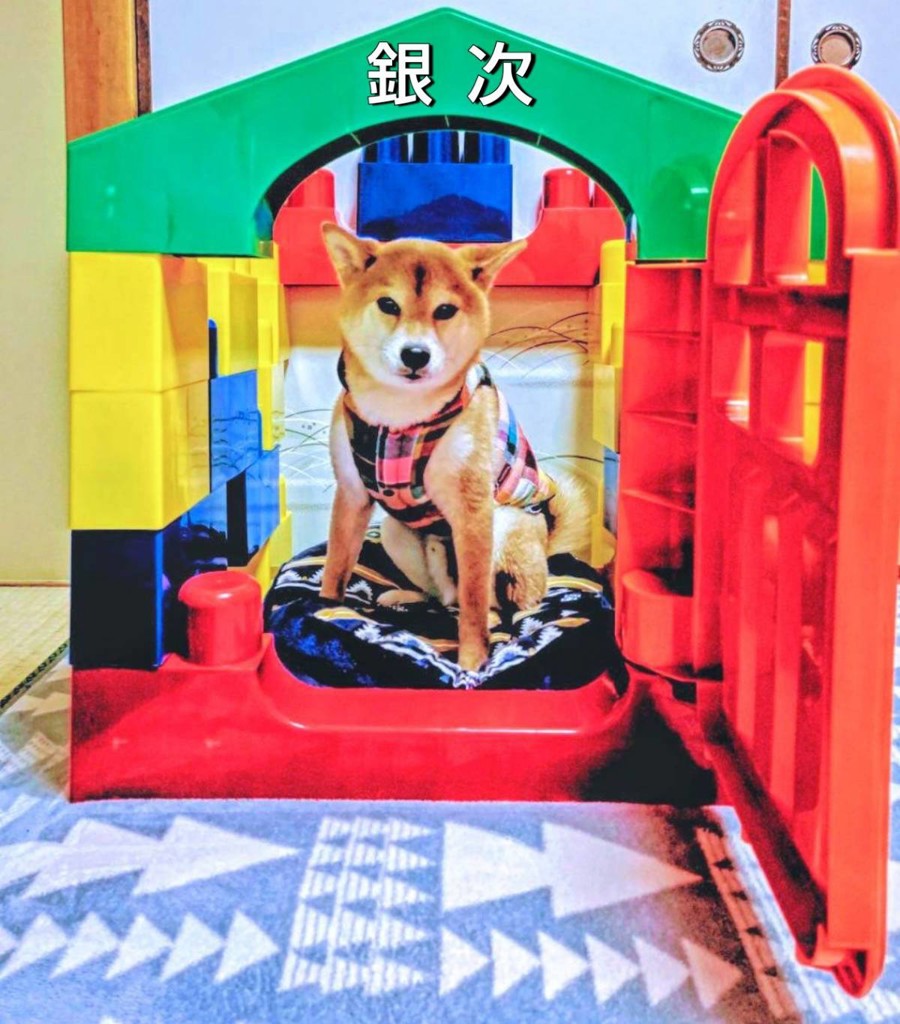 咲＆銀次