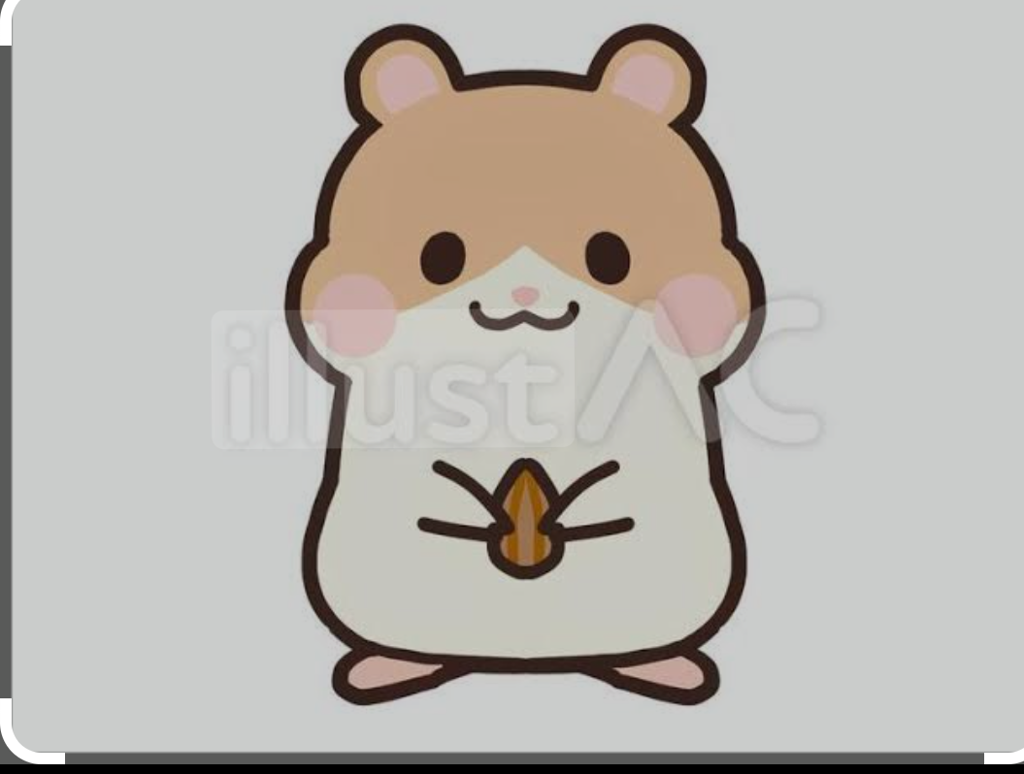 きんちゃん