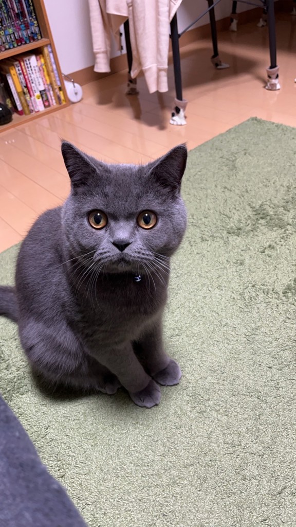 親方