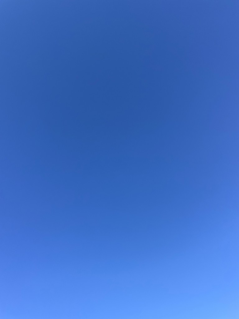 てるおはぎ