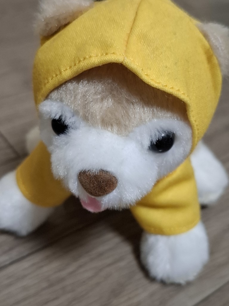 まめみ