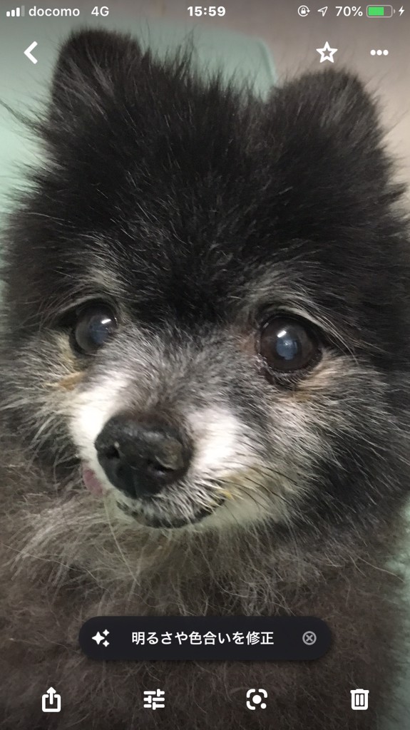 さちょこ