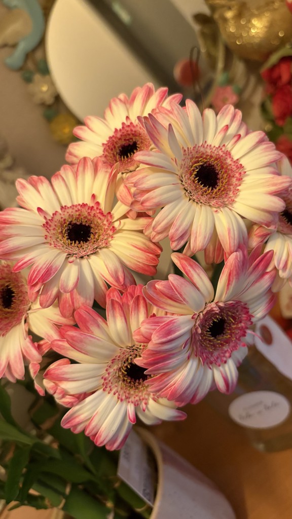 生花】バラ(ピンク) 品種おまかせ【60cm/愛知県】｜Flower Smith