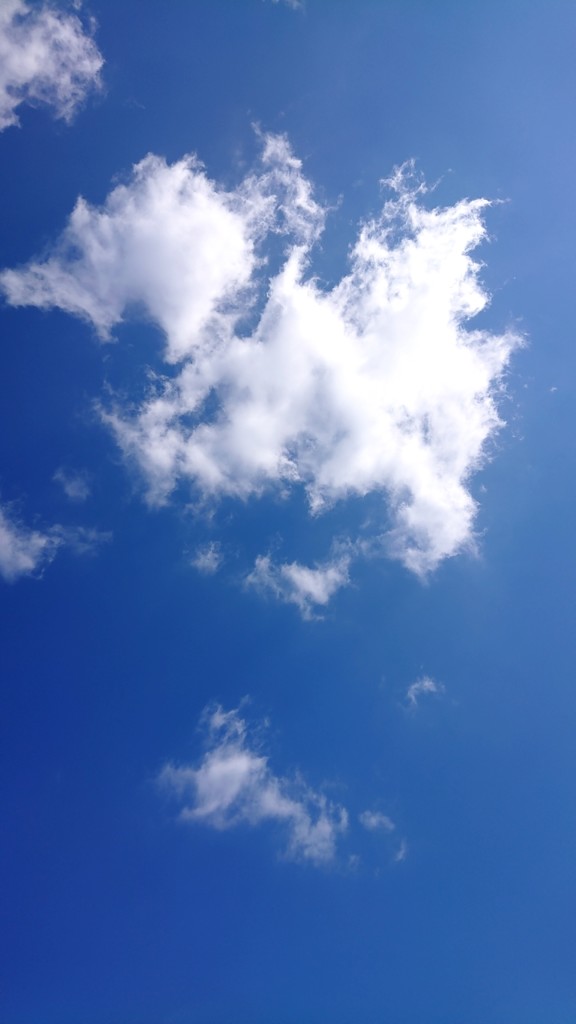 みかんジャム