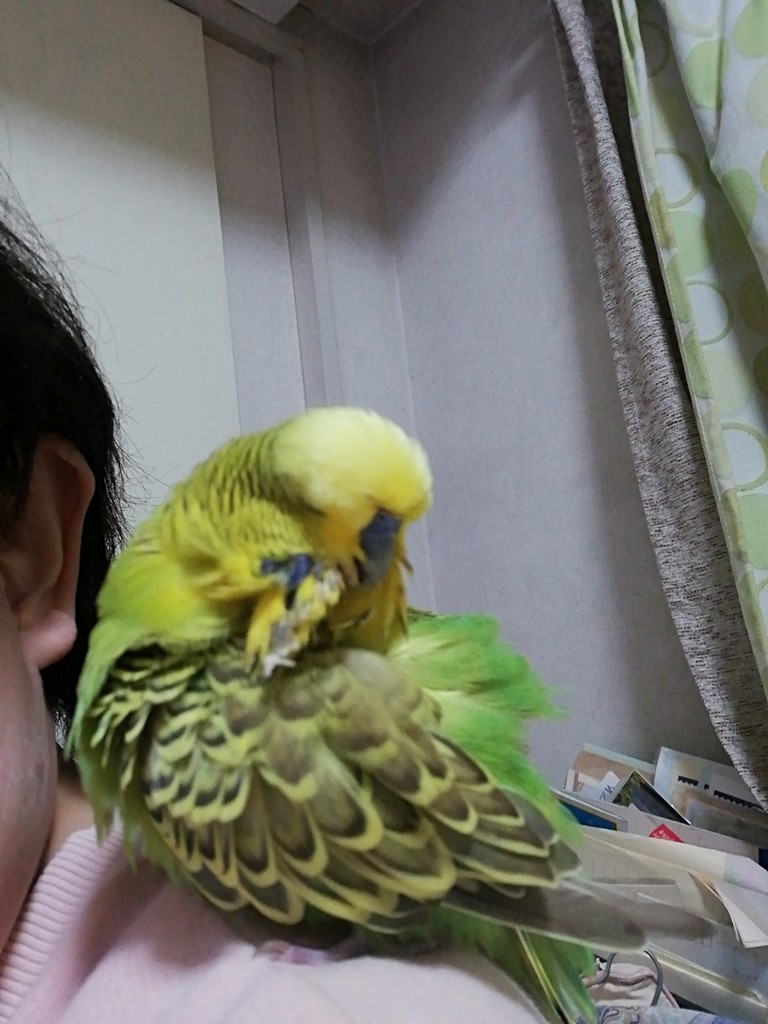 まめ