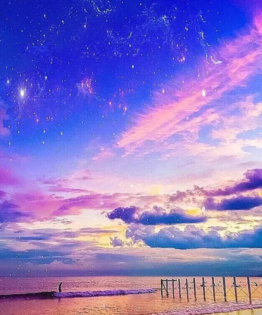 ヒヤシンス