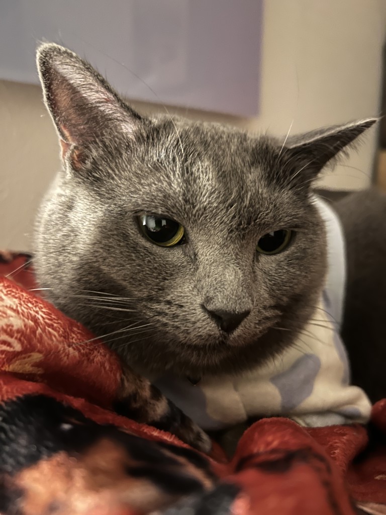 HIRO