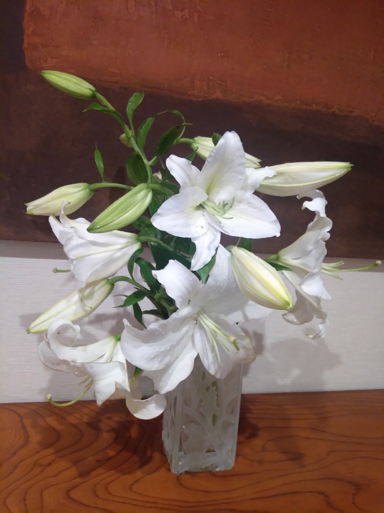 まみ