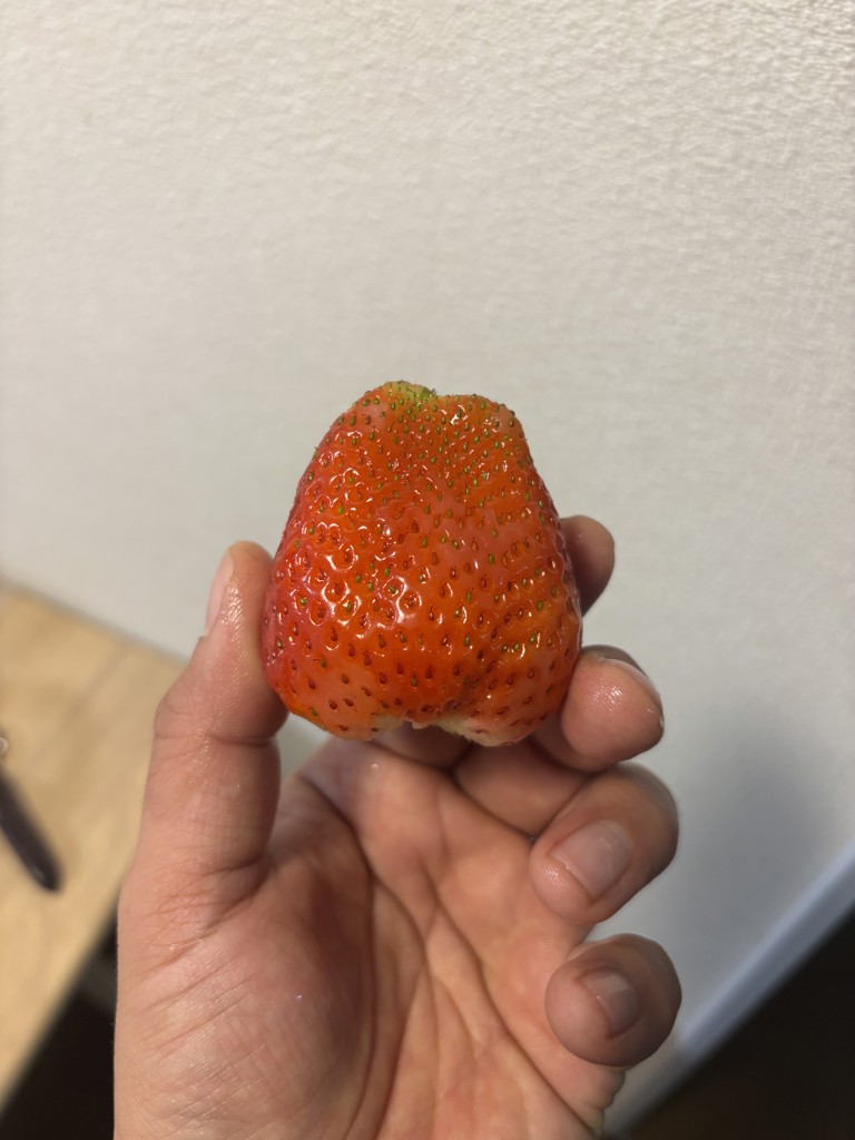 にゅ
