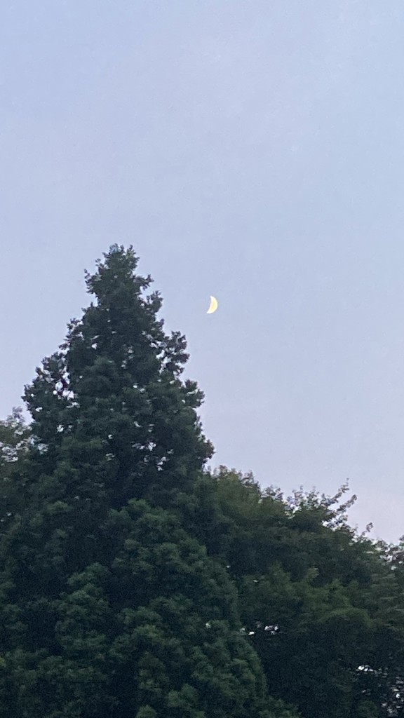 ウナ