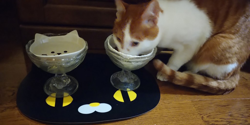たまなし