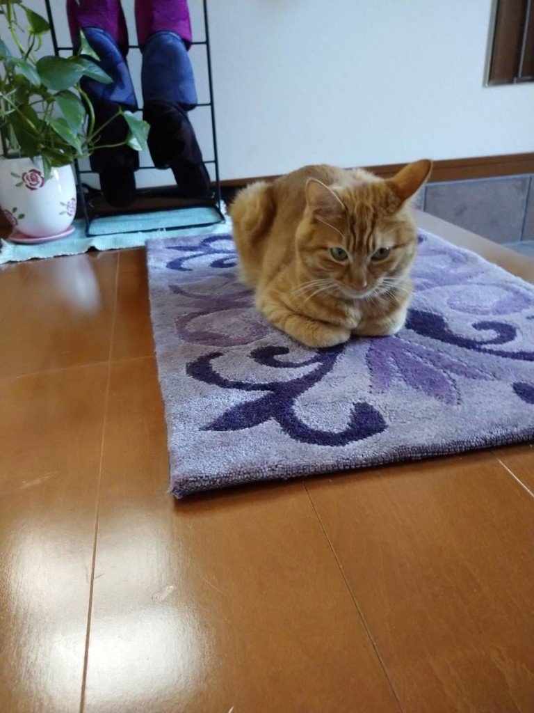 まぁくん