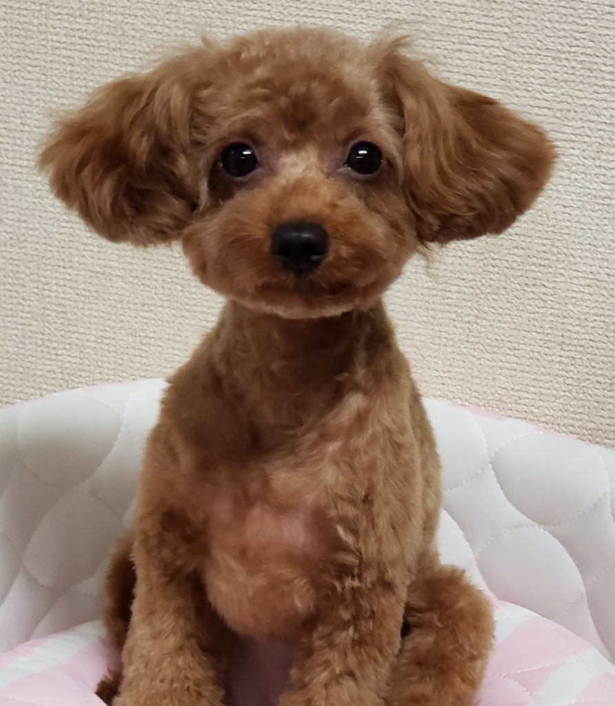 みに